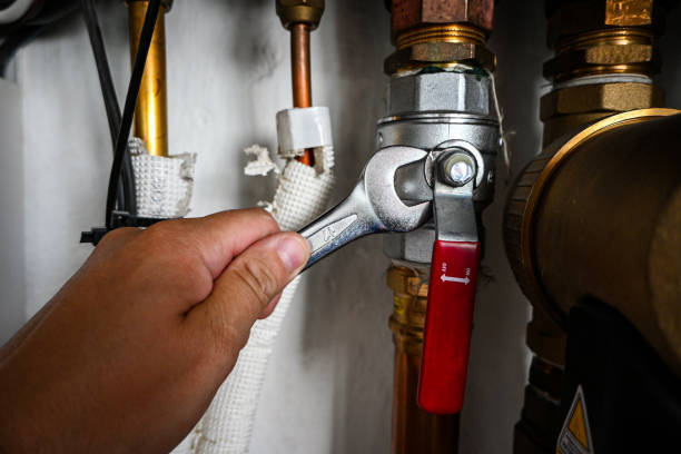 Best Plumbing Repair Near Me  in Coupeville, WA